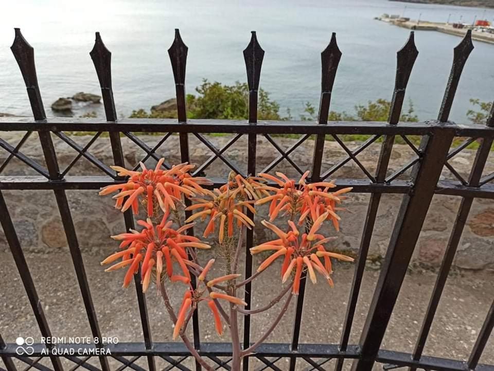 Anatoli Hotel Agia Marina  المظهر الخارجي الصورة