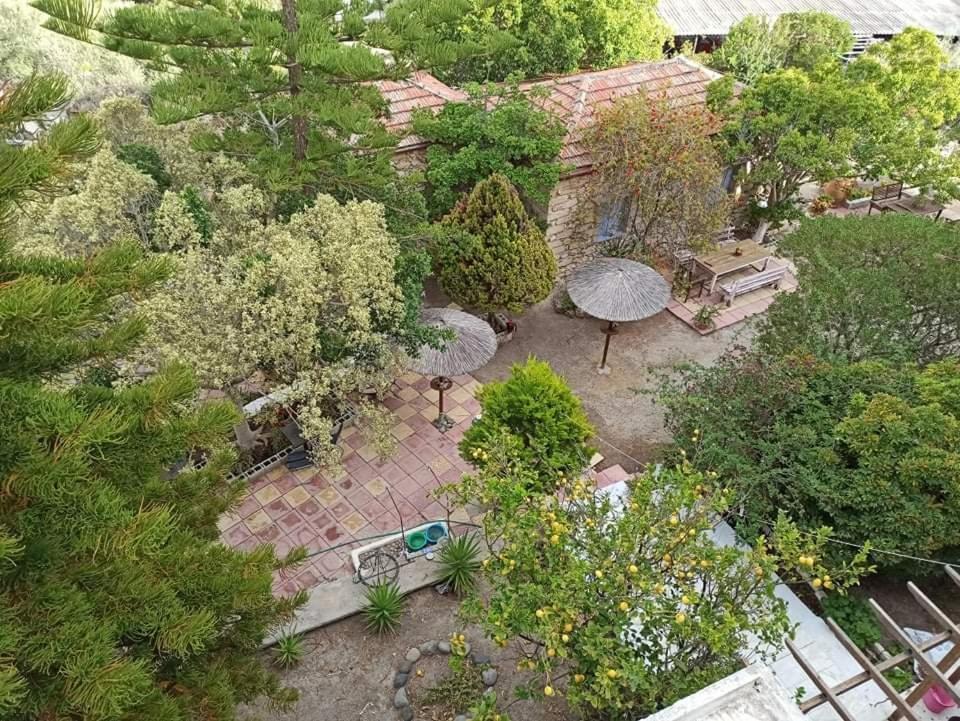 Anatoli Hotel Agia Marina  المظهر الخارجي الصورة