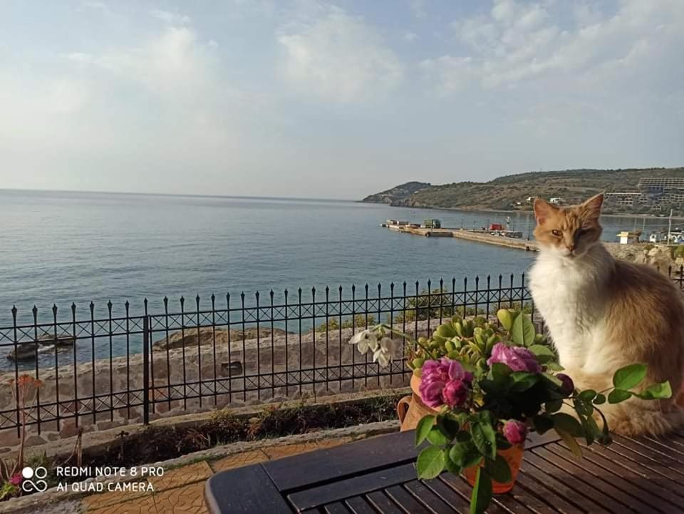 Anatoli Hotel Agia Marina  المظهر الخارجي الصورة