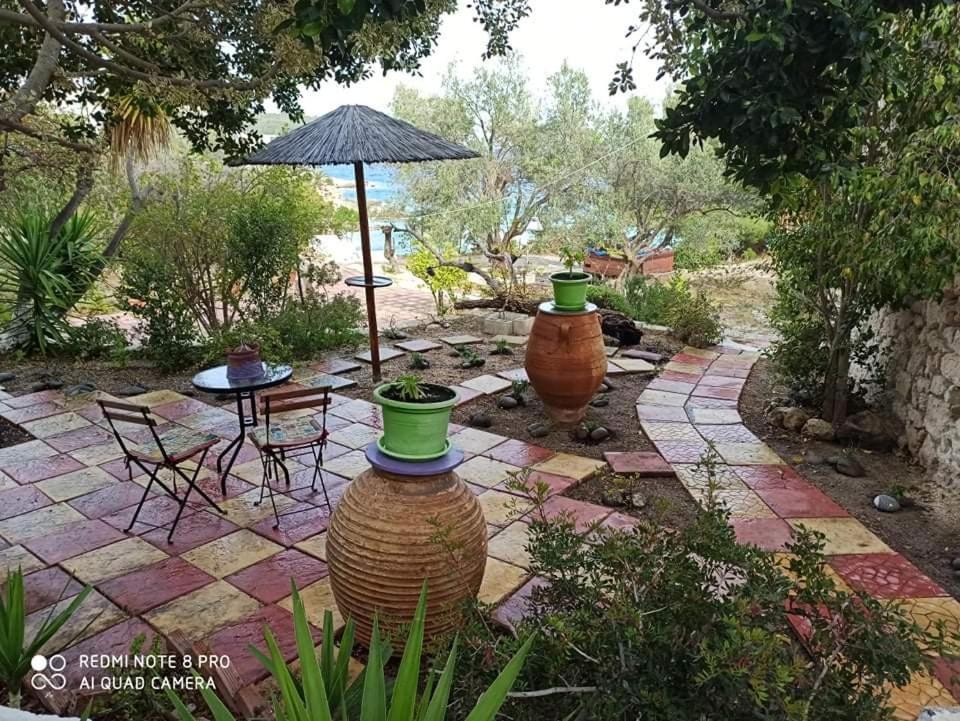 Anatoli Hotel Agia Marina  المظهر الخارجي الصورة