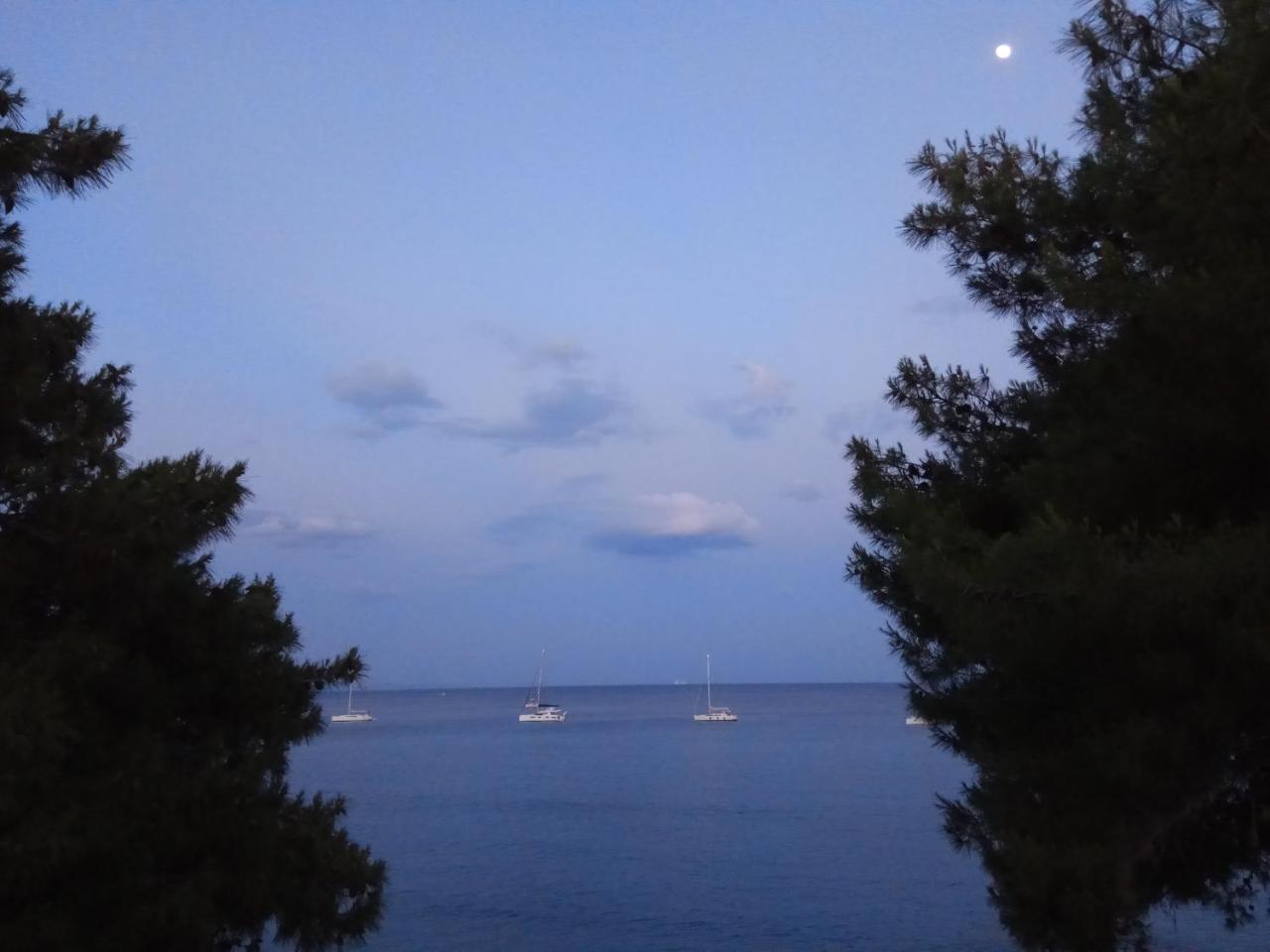 Anatoli Hotel Agia Marina  المظهر الخارجي الصورة