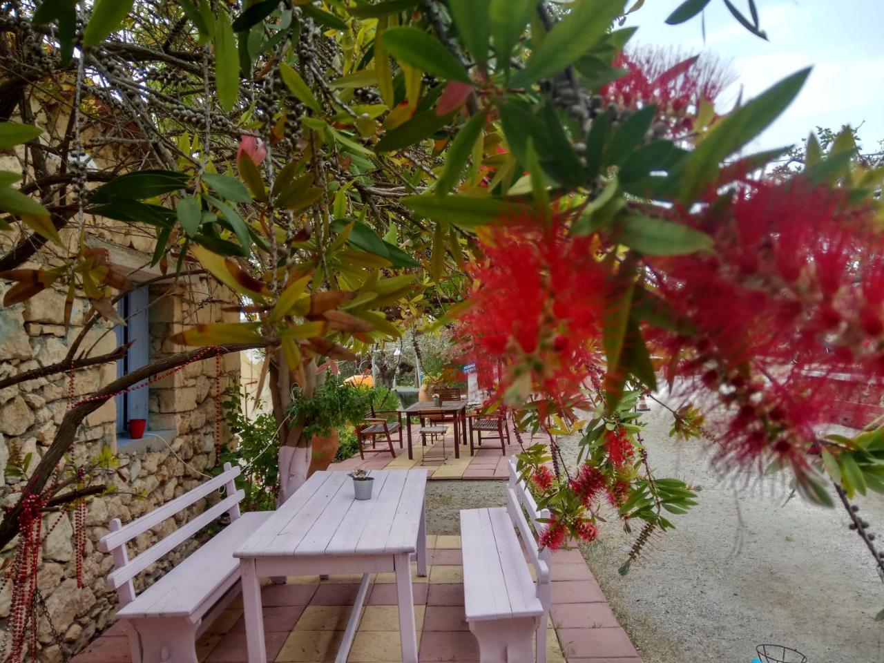 Anatoli Hotel Agia Marina  المظهر الخارجي الصورة